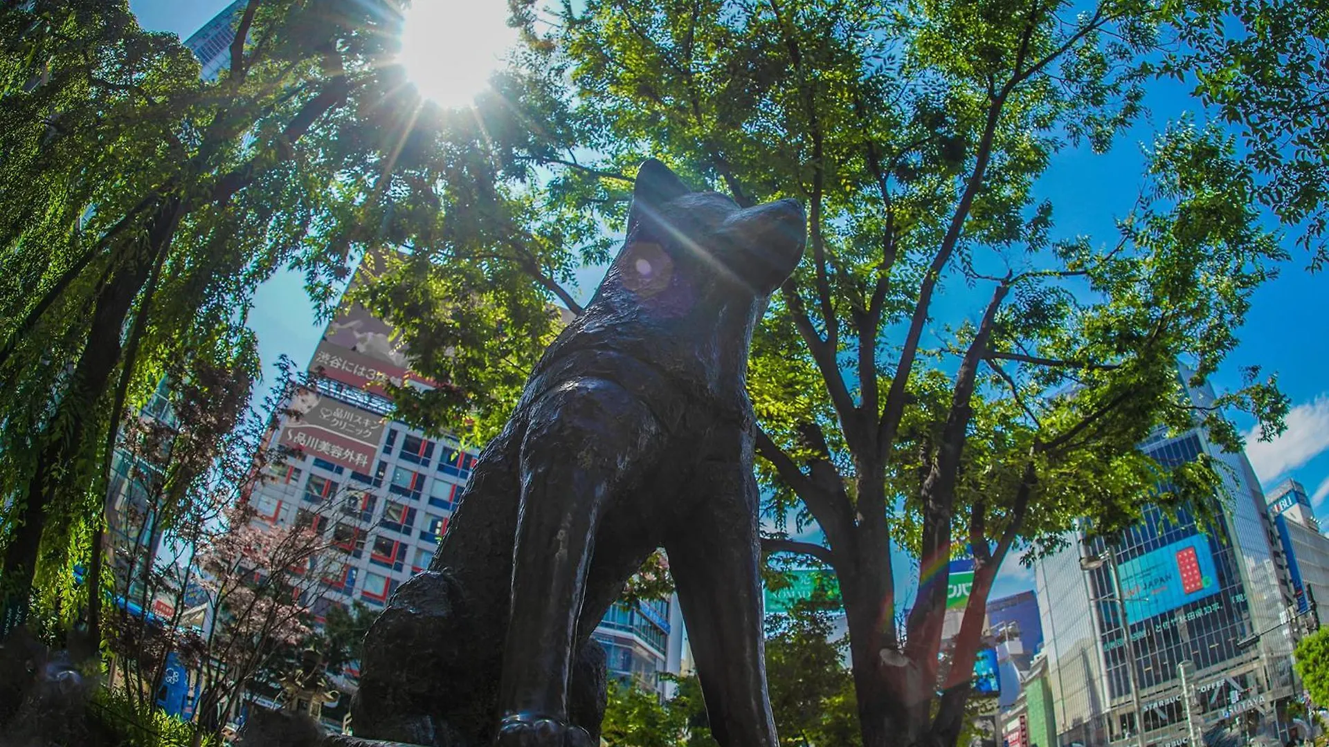 東京都 银座格雷斯登酒店 酒店